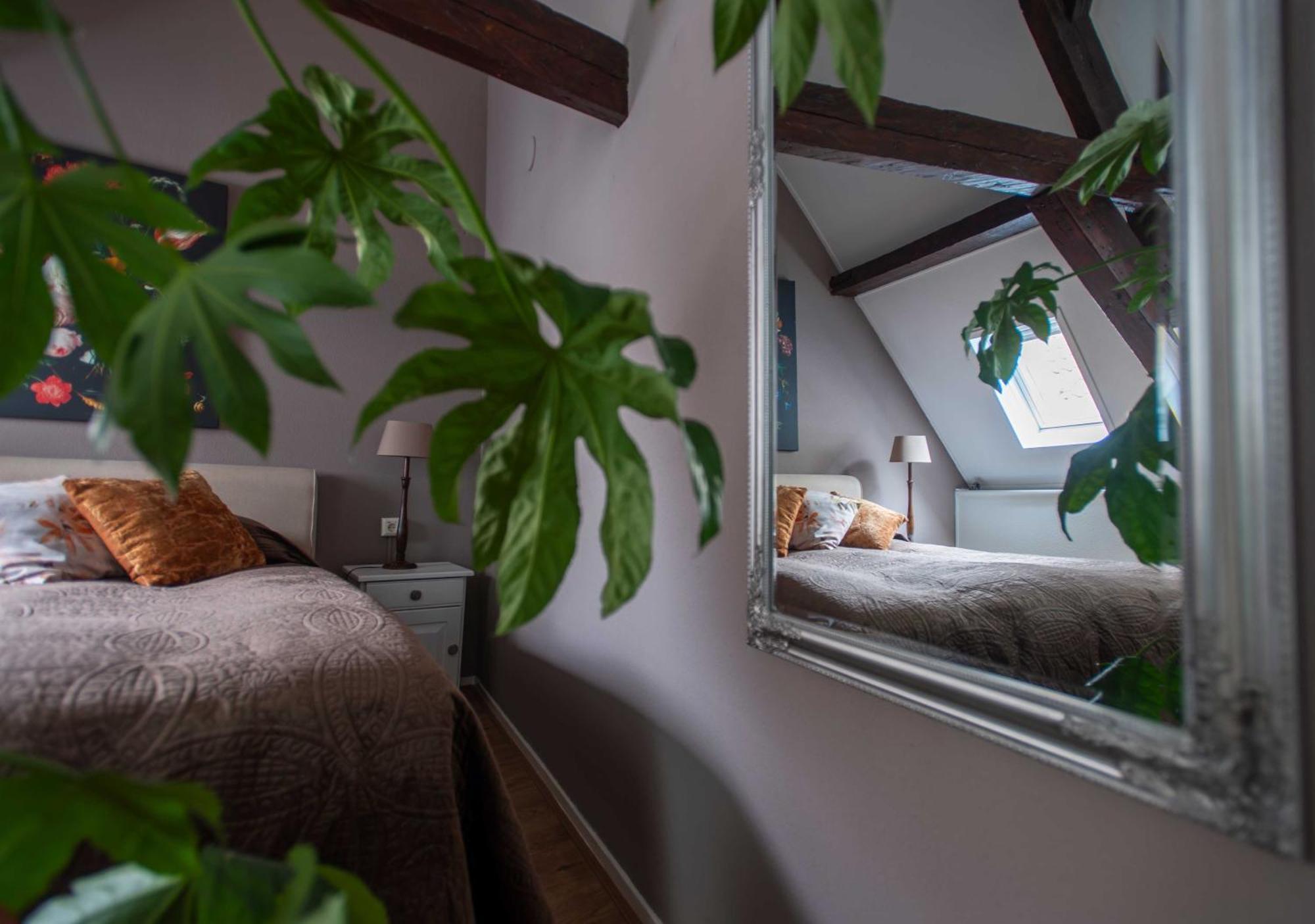 B&B De Zilveren Reiger 미델뷔르흐 외부 사진